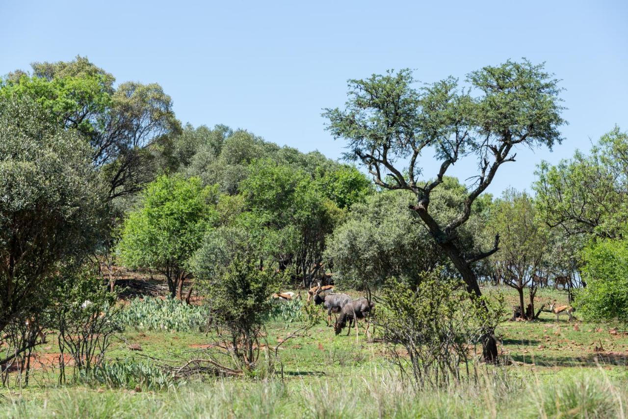 Harties Is Africa Safari Lodge Kosmos Exterior foto