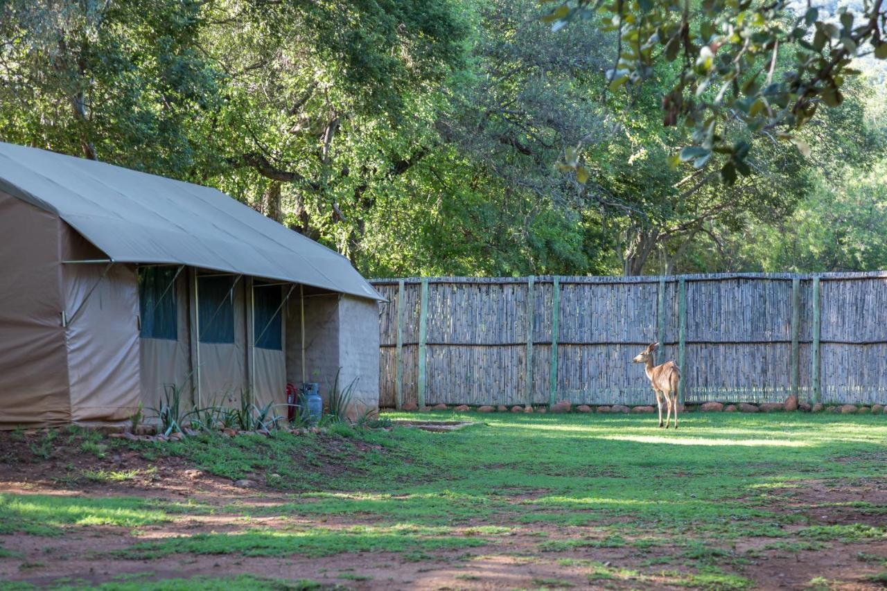 Harties Is Africa Safari Lodge Kosmos Exterior foto