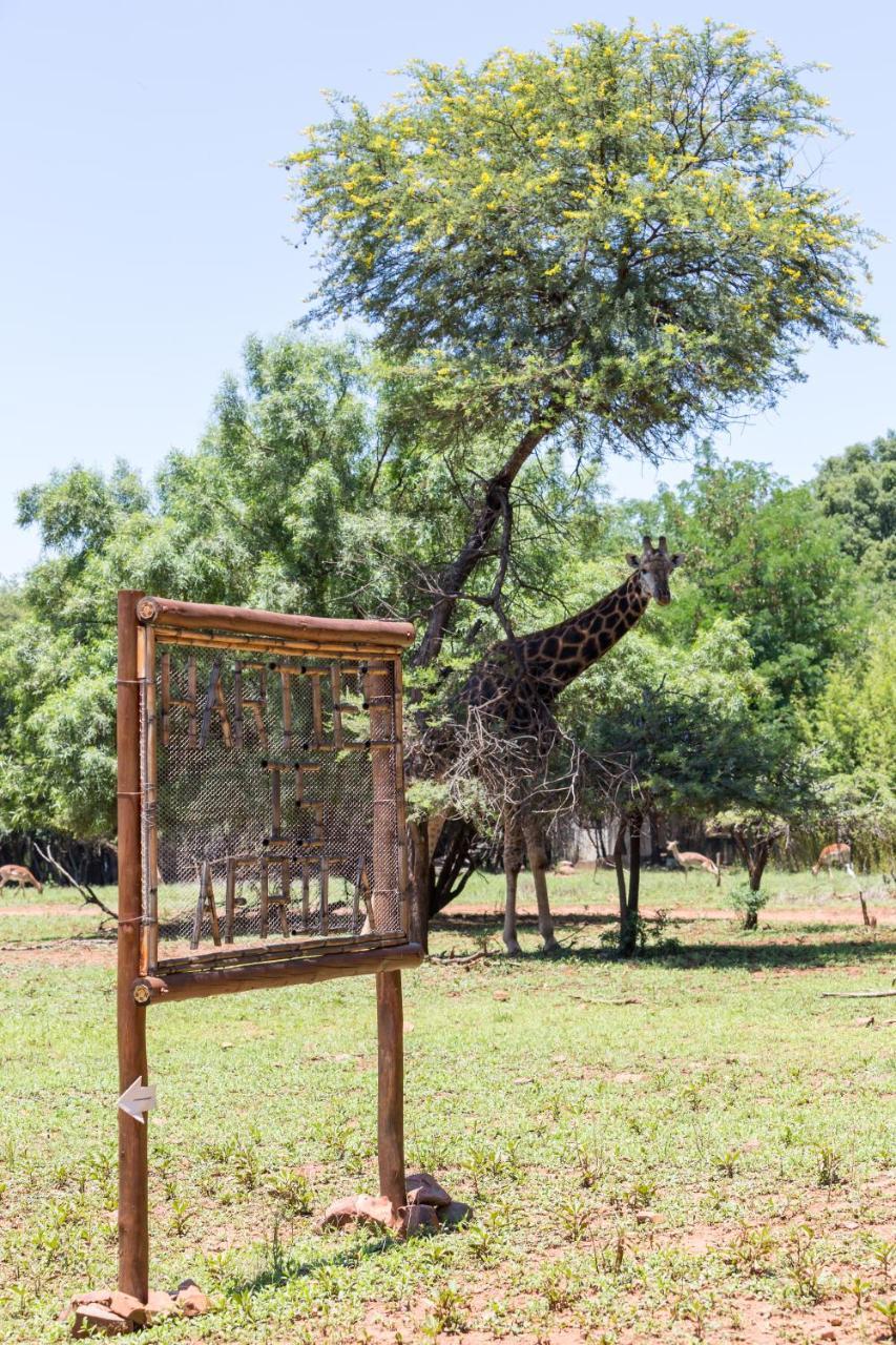 Harties Is Africa Safari Lodge Kosmos Exterior foto